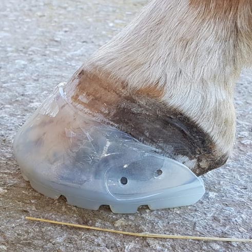 FLOATING BOOTS -COMPETITION GLUE-ON TRANSPARENTE SPORT