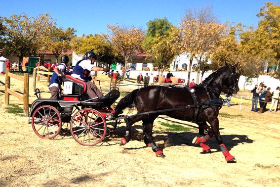 Detalle de los cascos con Floating Boots - Campeonato de Andalucia de enganche 2015