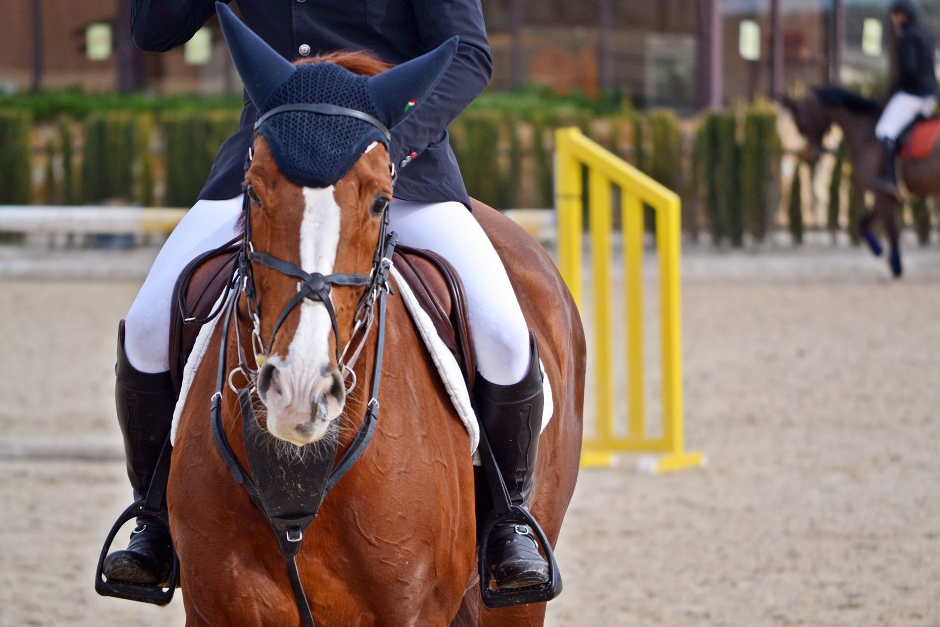 Detalle de los cascos con Floating Boots - Campeonato de Andalucia de enganche 2015
