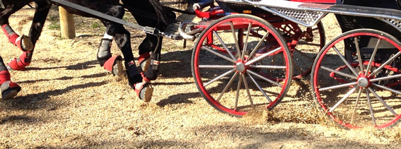 Detalle de los cascos con Floating Boots - Campeonato de Andaluca de enganche 2015
